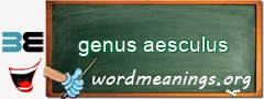 WordMeaning blackboard for genus aesculus